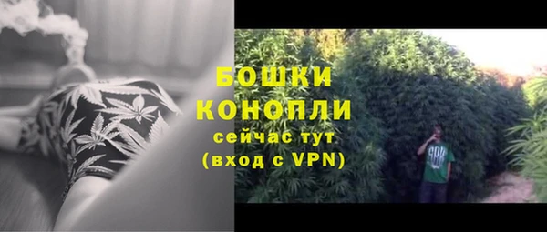 COCAINE Богородицк