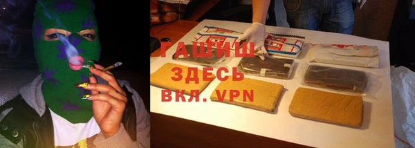 стаф Богородск