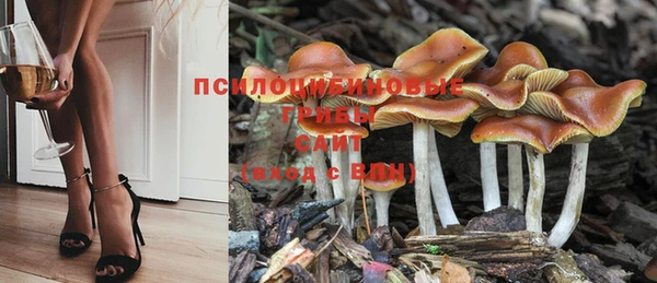 дистиллят марихуана Бородино