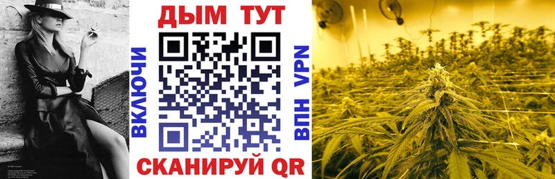OMG маркетплейс  Мурманск  нарко площадка формула  Каннабис индика 